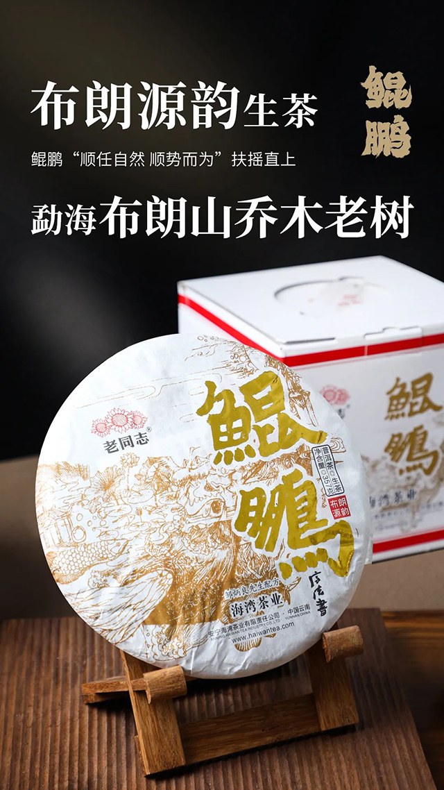 老同志鲲鹏普洱茶生茶