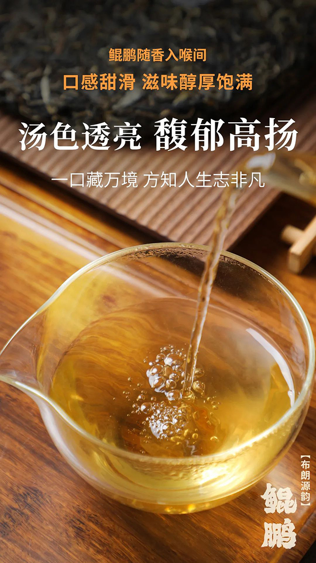 老同志鲲鹏普洱茶生茶