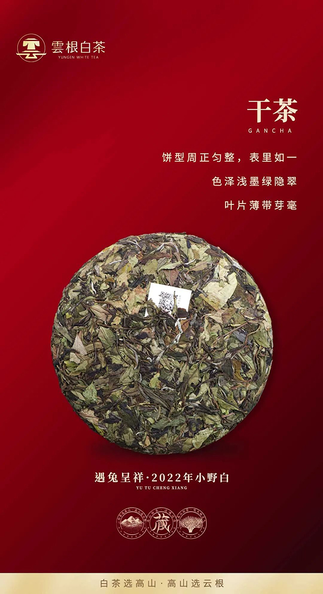 云根白茶生肖系列遇兔呈祥