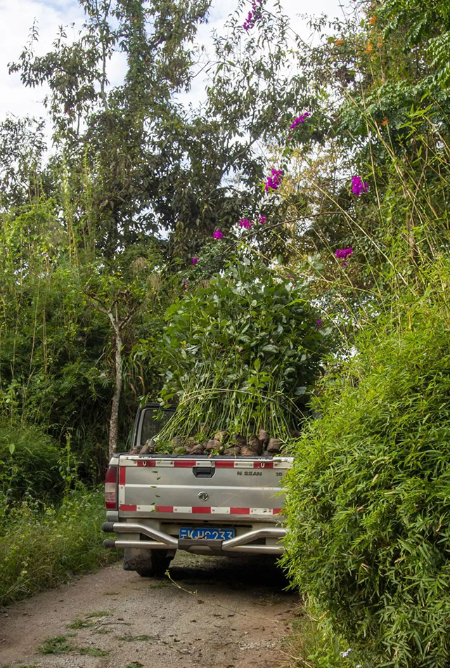 合和昌茶业