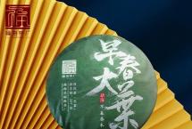 茶道可道：品福海早春大叶生茶2019