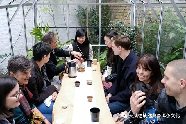 天威德成茶会