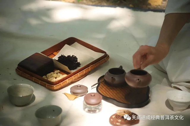 天威德成茶会