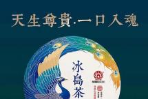 茶道可道：品勐傣冰岛茶魂普洱生茶2021