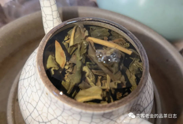 泽芷云山香椿林选株普洱茶