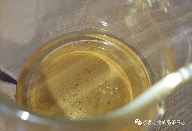 泽芷云山香椿林选株普洱茶