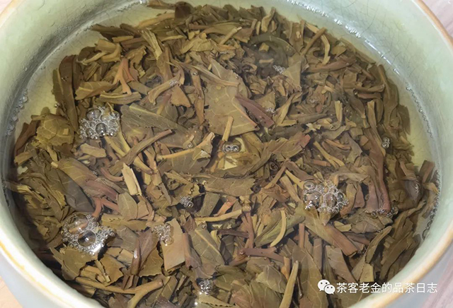 泽芷云山香椿林选株普洱茶