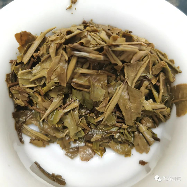 大沁知青茶园白牡丹300克饼