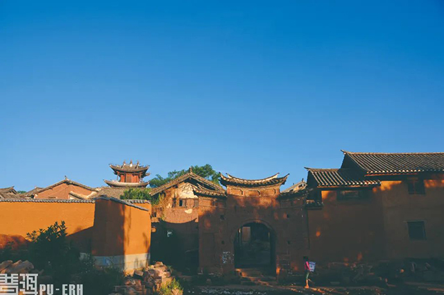 普洱杂志