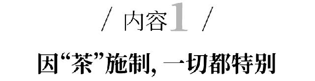 戎氏本味1935生茶普洱茶品质特点