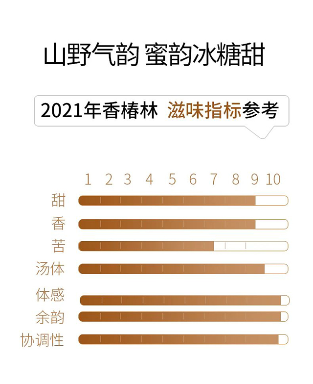 荣瑞祥2019年易武香椿林头春古树茶