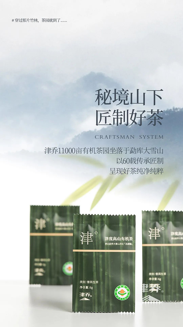 津乔普洱茶
