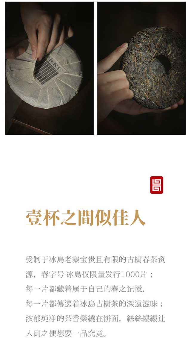 世昌兴冰岛老寨春字号普洱茶