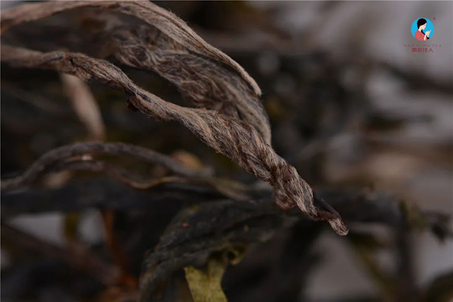 南茗佳人普洱茶