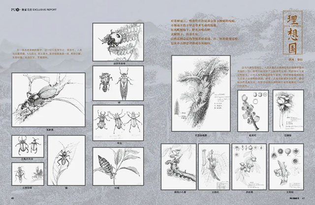 普洱杂志11月刊