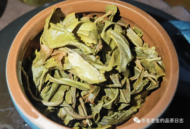 栩月古茶2022年冰岛古树普洱茶