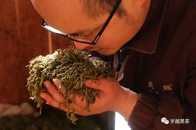 岁越黑茶2022拾年天尖砖