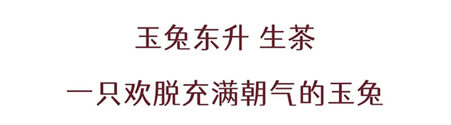 双陈2023年玉兔东升生肖茶普洱茶品质特点