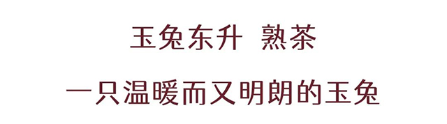 双陈2023年玉兔东升生肖茶普洱茶品质特点