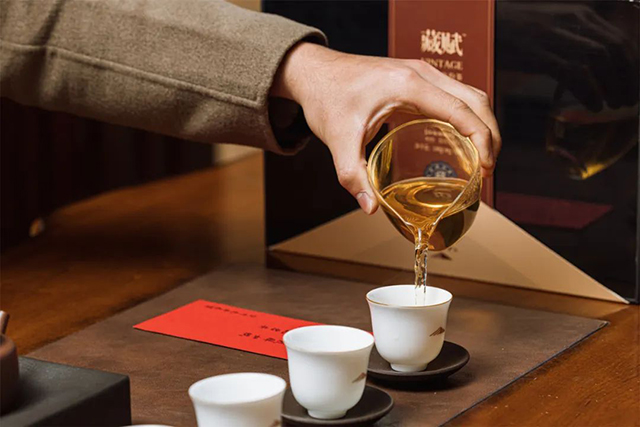 津乔普洱茶
