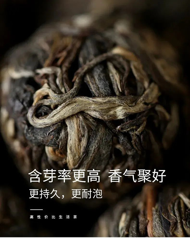 瑞祥永德大雪山龙珠普洱茶