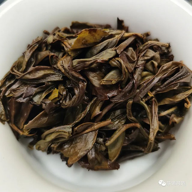 天池1392鸭屎香茶样