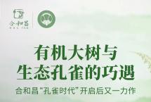 合和昌茶业：从有机大树，到有机金孔雀