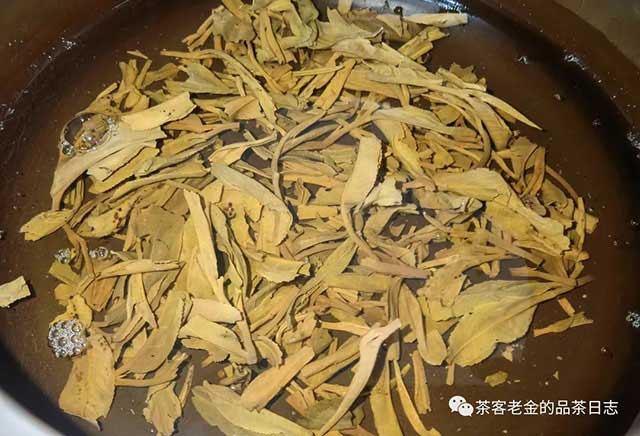 苦行茶僧2022年茶拾肆普洱茶