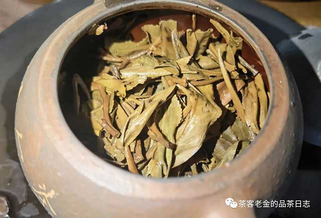 苦行茶僧2022年茶拾肆普洱茶