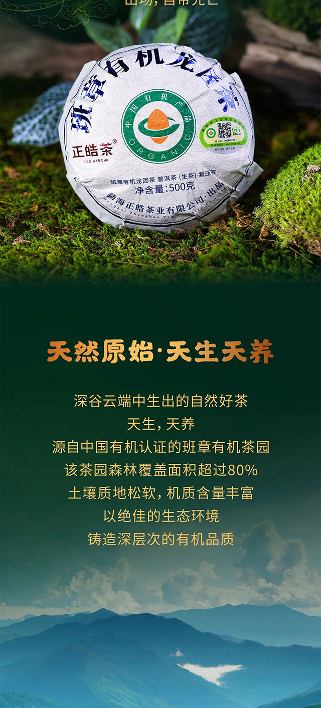 正皓茶2022班章有机龙团普洱茶