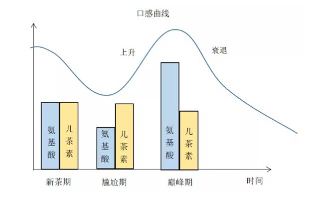 津乔普洱