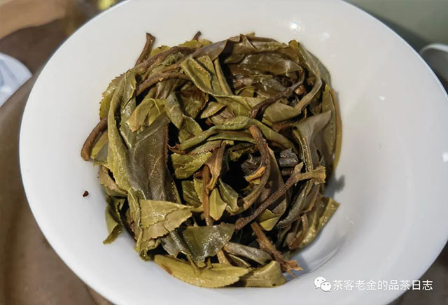 吾茶共饮2022年顶级拼配普洱茶