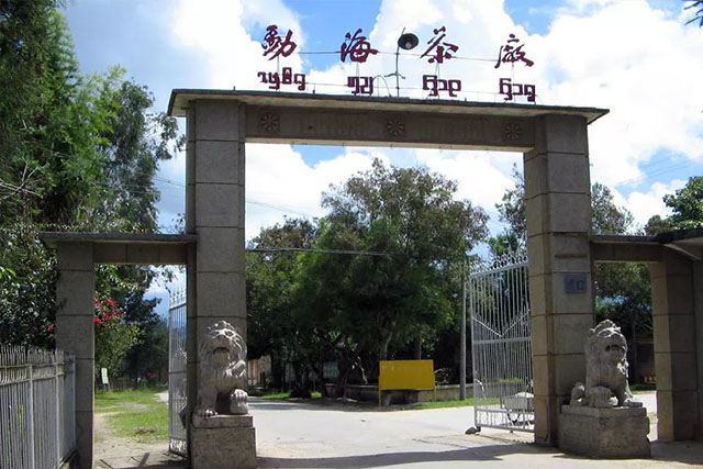 普洱杂志