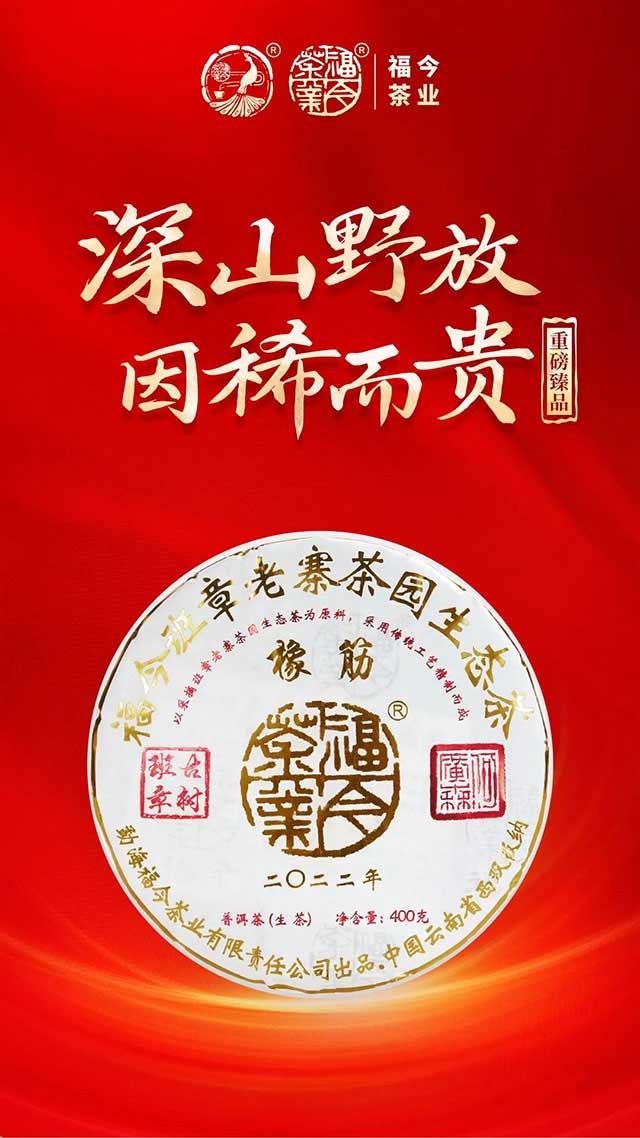 2022年福今班章橡筋青饼普洱茶品质特点