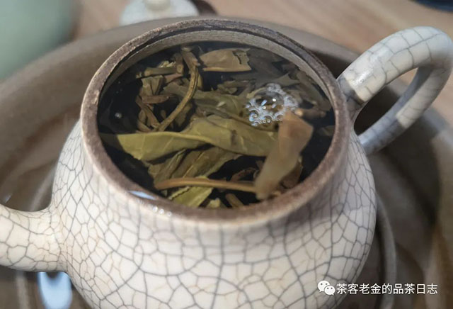 泽芷云山2019年無用普洱茶