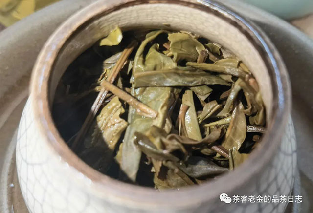 泽芷云山2019年無用普洱茶