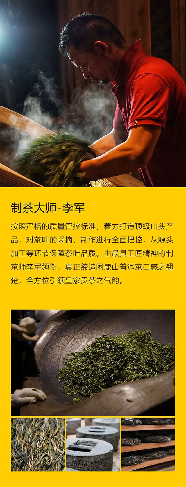 困鹿山皇家细叶12树再现贡茶巅峰