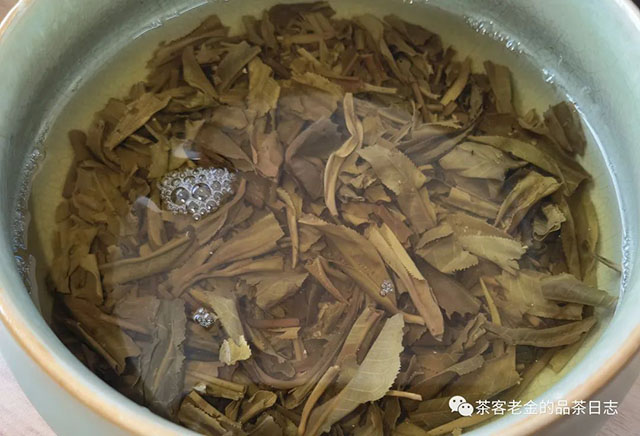 萧关茶事2022年占巴塞普洱茶