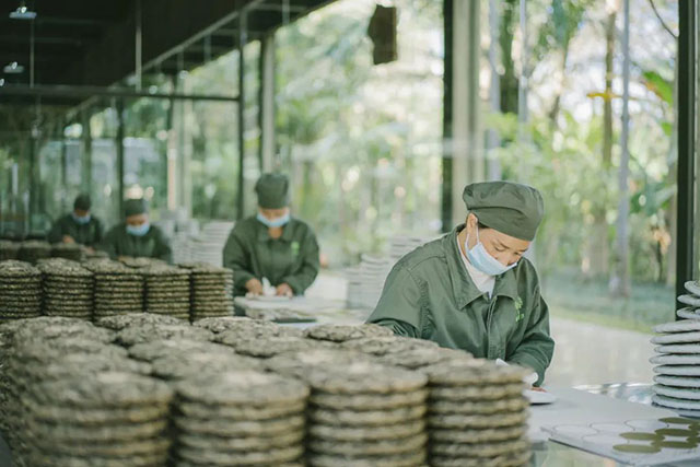 2023年柏联普洱生肖纪念茶兔饼