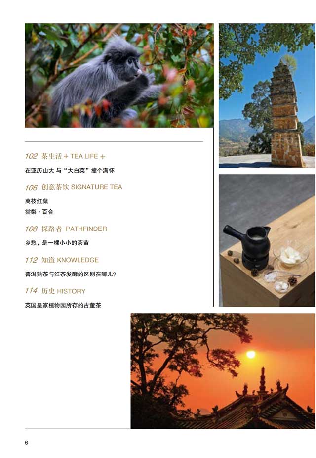 普洱杂志12月刊