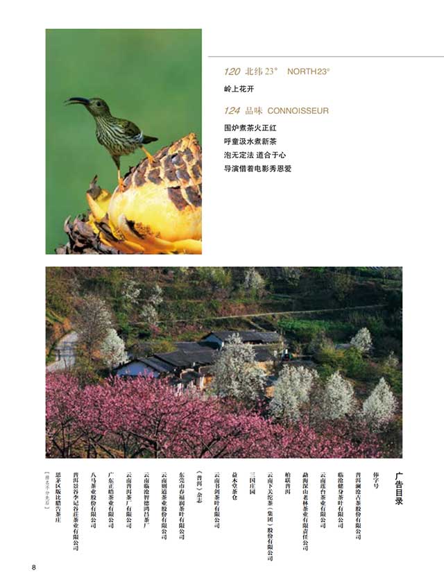 普洱杂志12月刊