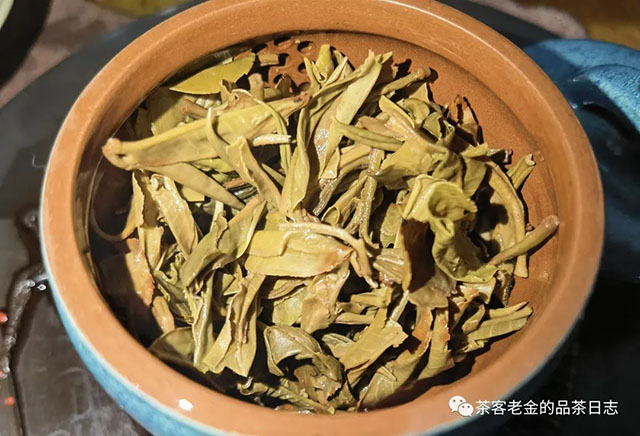 彤掌柜2022年大富翁普洱茶