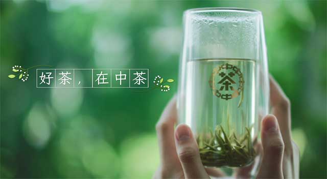 中茶普洱茶