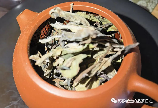 栩月古茶云白白茶