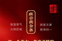 高端配方，稀缺属性|中吉号·班章黄金条，邀您奔赴黄金时代