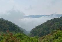 普洱杂志：普洱茶，茶人的“最后一站”