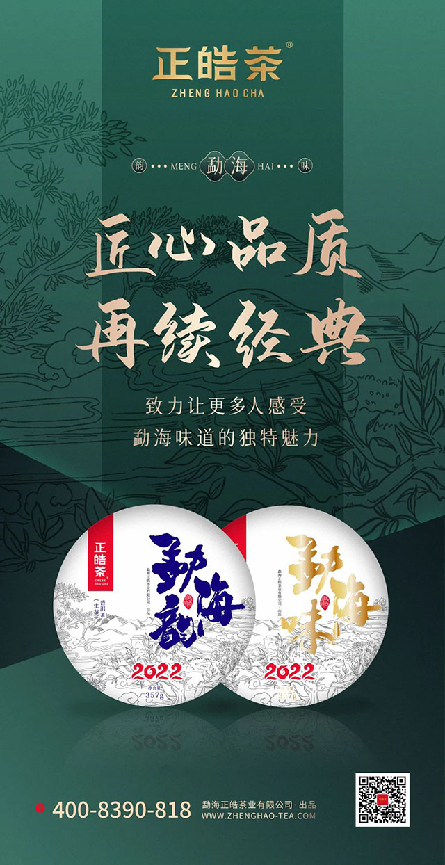 正皓茶2022年勐海韵味