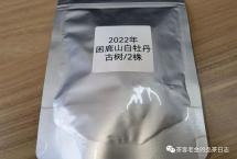 交流茶品——2022年困鹿山白牡丹古树/2株（困鹿山制茶人）