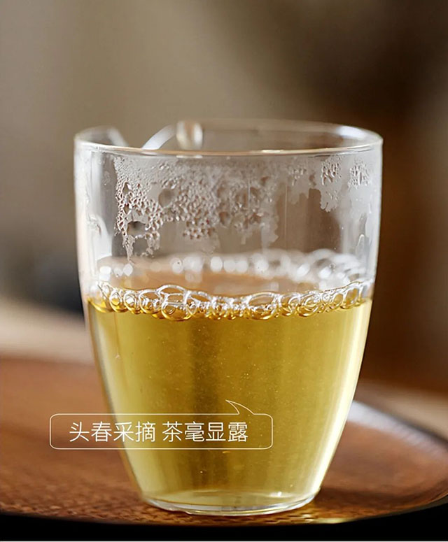 荣瑞祥2023年梅子箐头春古树春茶