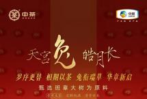 天宫兔，皓月长：2023中茶癸卯年高端生肖纪念茶系列荣耀上市